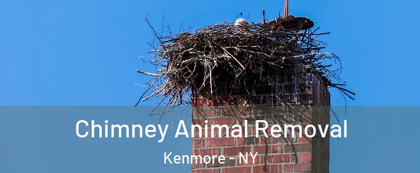 Chimney Animal Removal Kenmore - NY