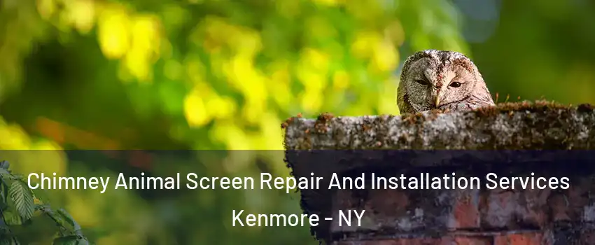  Chimney Animal Screen Repair And Installation Services Kenmore - NY