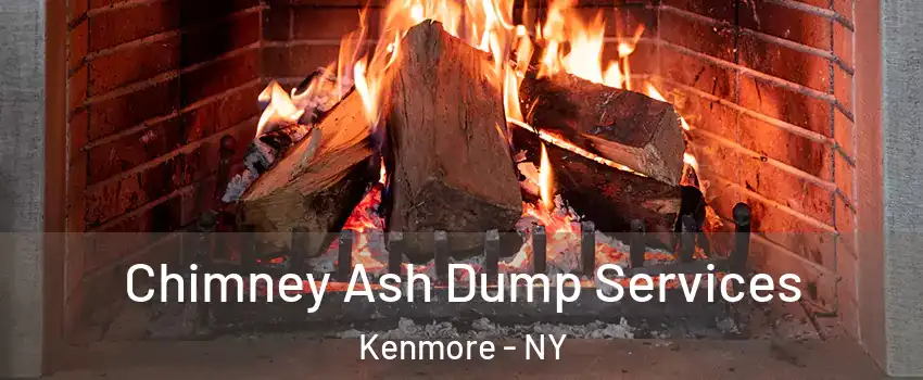  Chimney Ash Dump Services Kenmore - NY
