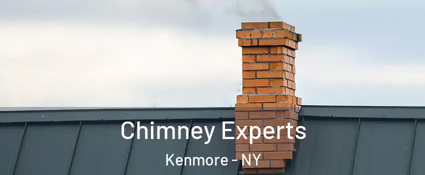 Chimney Experts Kenmore - NY