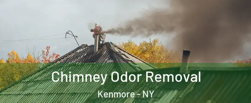  Chimney Odor Removal Kenmore - NY