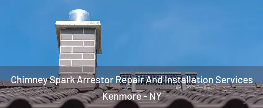  Chimney Spark Arrestor Repair And Installation Services Kenmore - NY