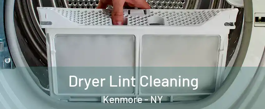  Dryer Lint Cleaning Kenmore - NY