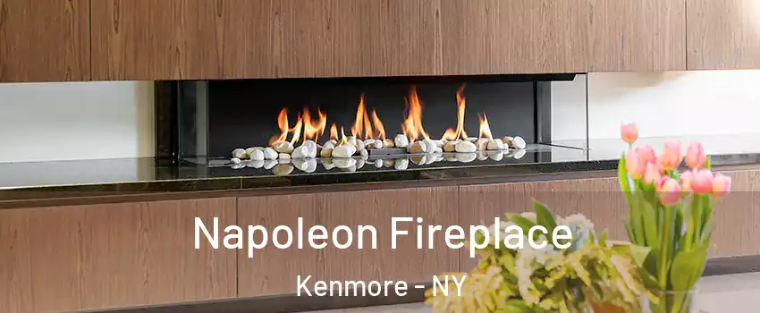  Napoleon Fireplace Kenmore - NY