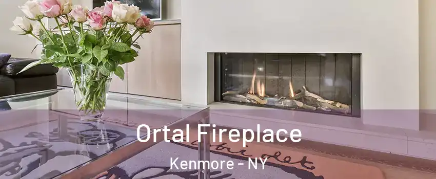 Ortal Fireplace Kenmore - NY